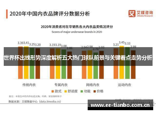 世界杯出线形势深度解析五大热门球队前景与关键看点走势分析 世界杯出线形势深度解析五大热门球队前景与关键看点走势分析