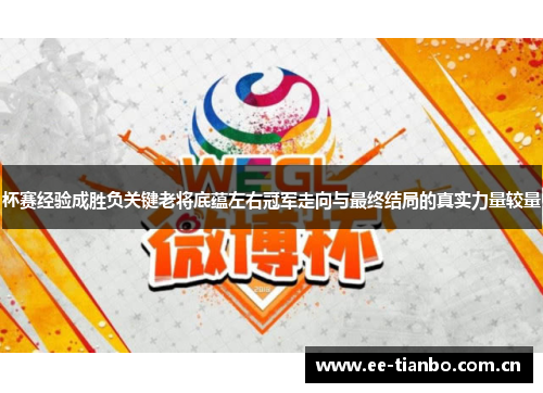 杯赛经验成胜负关键老将底蕴左右冠军走向与最终结局的真实力量较量 杯赛经验成胜负关键老将底蕴左右冠军走向与最终结局的真实力量较量